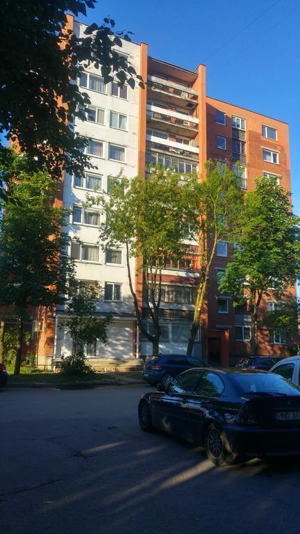Gina'S Apartment Partizanu G Каунас Екстер'єр фото