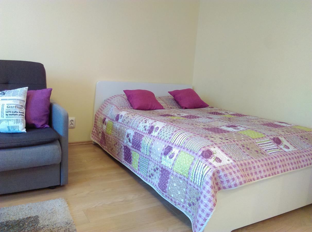 Gina'S Apartment Partizanu G Каунас Екстер'єр фото